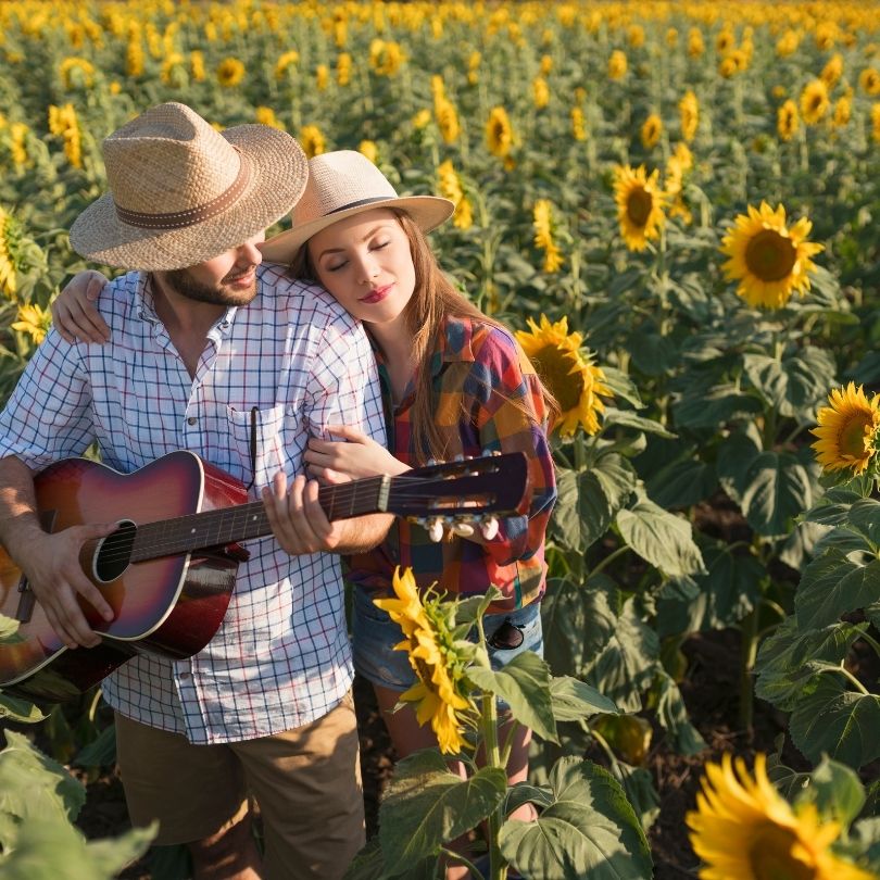 Summer Dreams Album Cover